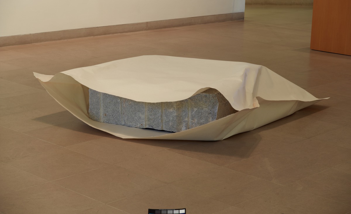 Dallas Museum of Art